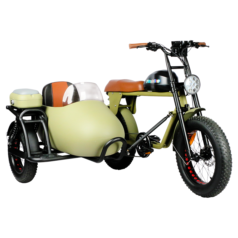 3-Wheel Electric Bike (Matte Black) with Aluminum Frame