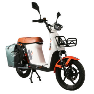 EC03-2 Electric Bike | 48V 350W E-Bike for Commuting EEC